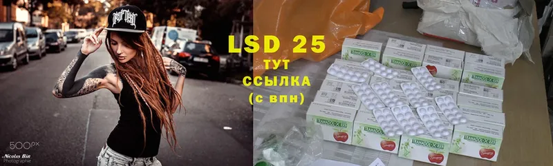 купить наркоту  Курлово  LSD-25 экстази ecstasy 